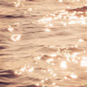 Meet your Posher, Fiona